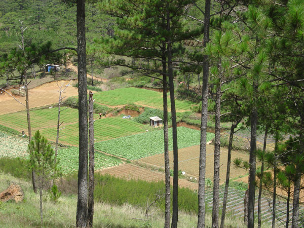 tour-du-lich-da-lat-le-2-thang-9-3-ngay-2-dem, tour da lat 3 ngay 2 dem