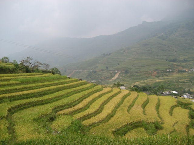 du lich sapa